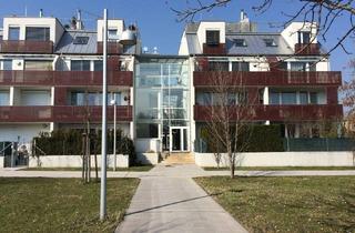 Wohnung mieten in 1230 Wien, Moderne 2 Zimmer Wohnung mit Balkon inkl. Betriebskosten