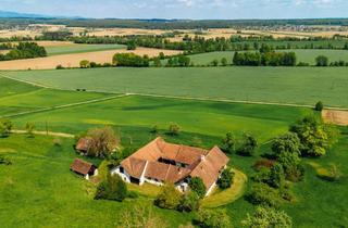 Agrarfläche kaufen in Leithen, 8262 Ilz, Vierkanter-Rarität - ca. 16 Hektar Landwirtschaft mit Teich in Ilz in der Oststeiermark - Schmuckstück zum Wachküssen!