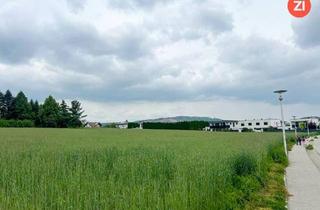 Grundstück zu kaufen in 4061 Pasching, Traumhaftes Baugrundstück im zentraler Paschinger Aussichtslage - Parzellengröße nach Ihren Wünschen