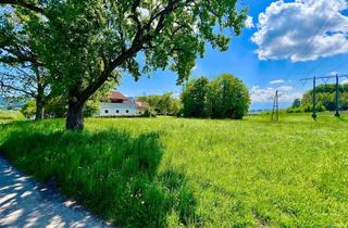 Grundstück zu kaufen in Dreimühlen, 5114 Dreimühlen, IDYLLISCHES BAUGRUNDSTÜCK NÄHE SALZBURG ! - 1044 m² - WIDMUNG DORFGEBIET - KEIN BAUZWANG -
