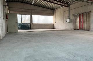 Lager mieten in 2492 Eggendorf, Produktions - oder Lagerhalle Nr. 3