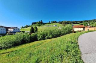 Grundstück zu kaufen in 4242 Hirschbach im Mühlkreis, Sonnige Hanglage mit Ausblick – Natur genießen, Stadtnähe erleben