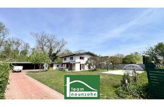 Bauernhäuser zu kaufen in 2301 Groß-Enzersdorf, Ruhige Lage! Renoviertes Haus mit großem Grund, beim Wald mit extra Büro/Praxis/Wohnung von ca. 70m2. - WOHNTRAUM