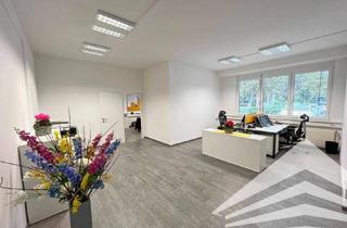 Büro zu mieten in Franzosenhausweg 50, 4030 Linz, Helles 130 m² Büro mit Lager am Franzosenhausweg sofort verfügbar!