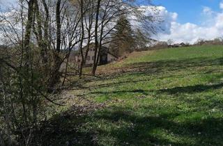 Grundstück zu kaufen in Albersdorf, 9535 Schiefling, Baugrundstück Nähe Hafnersee - 3 Parzellen in Südhanglage - Albersdorf