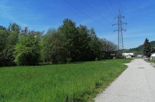 Grundstück zu kaufen in Waldrand, 9064 Pischeldorf, Sonnige Baugrundstücke in Pischeldorf bei Klagenfurt