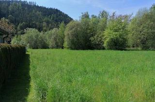 Grundstück zu kaufen in Waldrand, 9064 Pischeldorf, Sonnige Baugrundstücke in Pischeldorf bei Klagenfurt