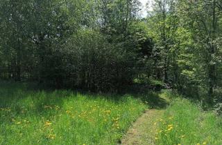 Grundstück zu kaufen in Waldrand, 9064 Pischeldorf, Sonnige Baugrundstücke in Pischeldorf bei Klagenfurt