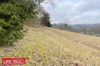 Grundstück zu kaufen in 4230 Pregarten, Vielseitiges Grundstück in wachstumsstarker Region