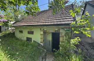 Grundstück zu kaufen in 2263 Waidendorf, Weinkeller mit Freifläche und Weingarten – Ihr Projekt für nur 9.990 €!