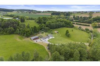 Haus kaufen in 7532 Litzelsdorf, Modernes Wohnparadies in Alleinlage mit Gästehaus, Halle, Weinkeller & mehr – ca. 62.000 m² Grundstück - davon ca. 10.000 m² Bauland!!