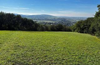 Gewerbeimmobilie kaufen in 3434 Tulbing, "IN KAUFABWICKLUNG!" GRÜNLAND IN TULBING