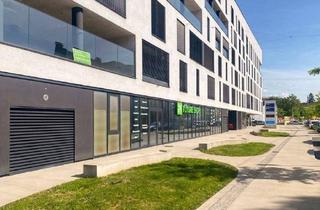 Büro zu mieten in Reininghausstraße 80, 8020 Graz, helle Gewerbefläche (Verkaufsfläche + Büro) in modernem Neubau Reininghausstraße - Miete