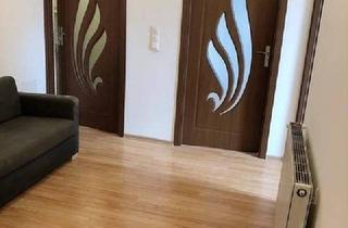 Wohnung mieten in 3250 Wieselburg, Helle Singlewohnung mit separater Küche in Wieselburg