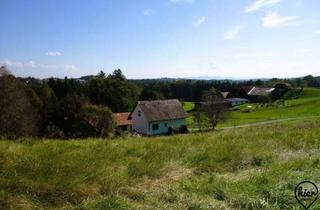 Grundstück zu kaufen in 8503 Sankt Josef (Weststeiermark), Lannach | Baugrund am Tor zum Schilcherland 886/1004