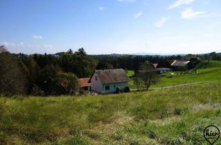 Grundstück zu kaufen in 8503 Sankt Josef (Weststeiermark), Lannach | Baugrund mit schönem Ausblick 886/1096