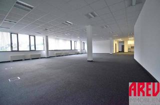 Büro zu mieten in Sandgasse 14a, 4020 Linz, MODERNE BÜROFLÄCHE IN ZENTRALER LAGE- HELL UND FREUNDLICH - B01