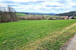 Grundstück zu kaufen in 5204 Straßwalchen, Landwirtschaftliche Nutzfläche in Oberholz