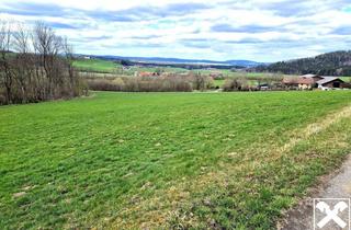 Gewerbeimmobilie kaufen in 5204 Straßwalchen, Landwirtschaftliche Nutzfläche in Oberholz