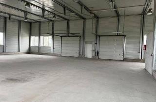 Büro zu mieten in 2492 Eggendorf, Lagerhalle Nr. 4