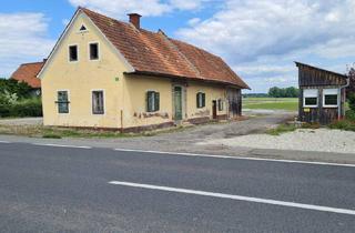 Bauernhäuser zu kaufen in 8472 Straß in Steiermark, Altes baufälliges Bauernhaus mit freistehendem Büro- Baucontainer im Bauland in guter Lage!