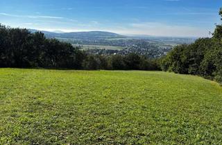 Lager kaufen in 3434 Tulbing, "IN KAUFABWICKLUNG!" GRÜNLAND IN TULBING