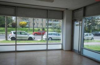 Büro zu mieten in Ekz, Bus, Strassenbahn, Autobahn, 4020 Linz, Geschäfts-/Büro-/Ordinationsfläche mit XL-Schaufenstern u. mit Umsatzpotential - 1A Preis-/Leistung, direkt neben dem (Vital-)Zentrum Muldenstraße!