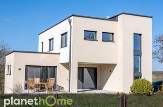 Einfamilienhaus kaufen in 3376 Ennsbach, Attraktives Einfamilienhaus im Bauhaus-Stil auf einem großen, naturbelassenen Grundstück
