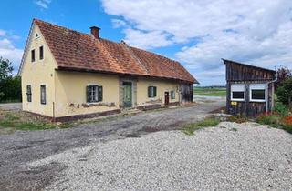 Bauernhäuser zu kaufen in 8472 Straß in Steiermark, Altes Bauernhaus mit weiterem Bürocontainer im Bauland samt angrenzender Freilandfläche in guter Lage!