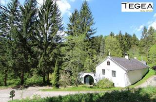 Haus kaufen in 3654 Raxendorf, Historischer Zweiseithof aus 1739 - Refugium auf 690m Seehöhe - in absoluter Ruhelage, wo sich Fuchs und Hase gute Nacht sagen