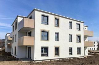 Wohnung mieten in Großstelzendorf - Bt 2, 2013 Großstelzendorf, Südostseitige Erstbezugswohnung mit Garten