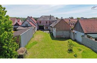 Einfamilienhaus kaufen in 7302 Nikitsch, teilweise saniertes Einfamilienhaus mit traumhaftem Garten