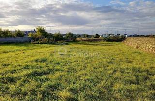 Grundstück zu kaufen in 7111 Parndorf, Grünruhelage mit unverbaubarem Fernblick - 1100 m² für Ihr Traumhaus!