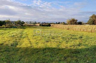 Grundstück zu kaufen in 7111 Parndorf, Baugrundstück mit unverbaubarem Fernblick - wunderbare Grünruhelage!