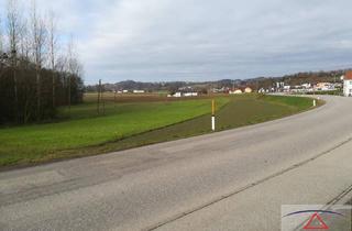 Gewerbeimmobilie kaufen in 4342 Baumgartenberg, Ca. 8800 m² Grundstück an der Bundesstraße 3!