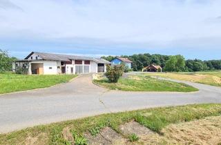 Grundstück zu kaufen in 8093 Sankt Peter am Ottersbach, Rarität- Bauland mit Nebengebäude auf einer Bergkuppe in Ruhelage - Obstgarten- Freilandgrundzukauf möglich