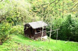 Villen zu kaufen in 4040 Linz, Bestlage Petrinum - Renovierungsbedürftiger, romantischer Platz