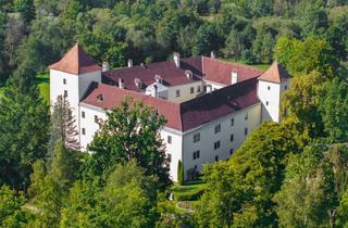 Wohnung kaufen in Schloss Gmünd, 3950 Gmünd, Exklusive Rarität - Schlosswohnung in Gmünd