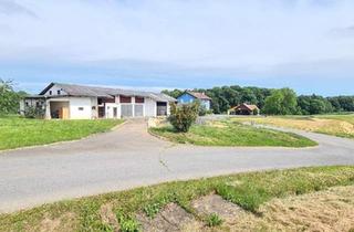 Bauernhäuser zu kaufen in 8093 Sankt Peter am Ottersbach, Nebengebäude im Bauland auf einer Bergkuppe in Ruhelage - Obstgarten- Freilandgrundzukauf möglich