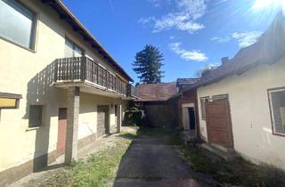 Haus kaufen in 2551 Enzesfeld-Lindabrunn, BRING MICH ZUM STRAHLEN! Sanierungsbedürftiges Wohnhaus mit zwei Wohneinheiten und besonderem Flair!