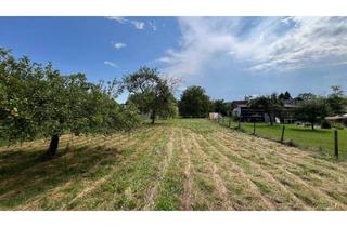 Grundstück zu kaufen in 8280 Altenmarkt bei Fürstenfeld, Baugrund in Altenmarkt bei Fürstenfeld - ruhig, eben, sonnig, kein Bauzwang, € 56, -/ m² (Provisionsfrei)