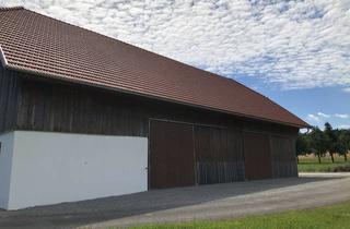 Lager mieten in 4716 Hofkirchen an der Trattnach, Gasperl in Stadl