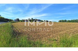 Grundstück zu kaufen in Holzing, 3254 Bergland, Betriebsgrund in Bergland mit 6.587 m² - Stadtrand Wieselburg - guter Lage
