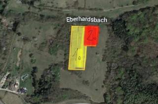 Grundstück zu kaufen in 3433 Königstetten, Verwilderter, mit alten Sorten bestückter Obstgarten im Moment als Wald gewidmet mit RODUNGSBESCHEID