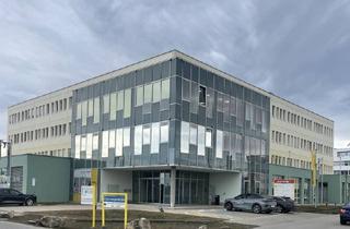 Büro zu mieten in Ared-Straße, 2544 Leobersdorf, ARED Park - Geschäftslokal/Büro mit Halle H3