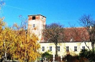 Lager kaufen in Liechtensteinstr. 1, 2272 Niederabsdorf, Reitgut Schloß Niederabsdorf