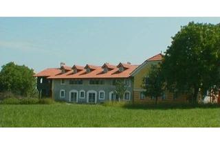 Wohnung mieten in Ranshofner Straße 24, 5282 Ranshofen, Wohnung im 1.Stock in Ranshofen mit Gallerie, 2 Zimmer