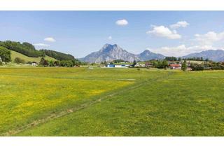 Einfamilienhaus kaufen in 4814 Altmünster, Nur wenige Fahrminuten zum malerischen Traunsee : Attraktives Einfamilienhaus mit Pool in sonniger Ruhelage