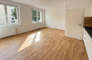 Wohnung mieten in 2410 Hainburg an der Donau, SINGELMIETWOHNUNG - ERSTBEZUG im Zentrum!