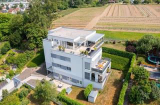 Büro zu mieten in 4400 Steyr, 75 m² Büro in Steyrs Bestlage – Erdgeschoss mit Terrasse & Tiefgarage